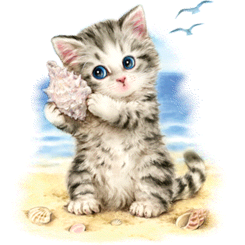 Cat (Seashell Kitten)