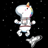 Unicorn In Space