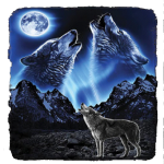 Wolf (duo howling @ moon)