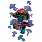 Mushrooms (Colorful)