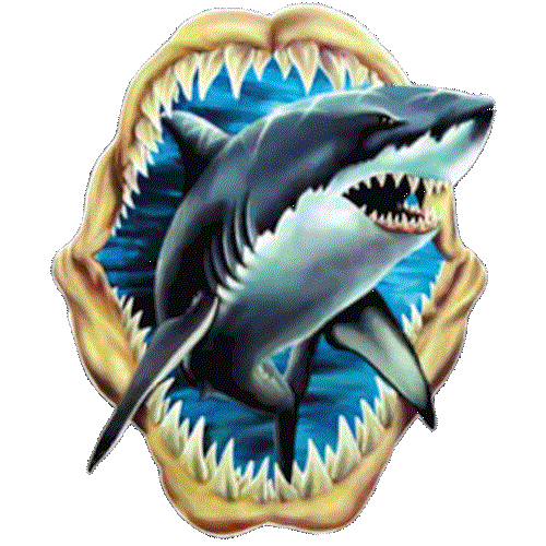 Shark Mouth