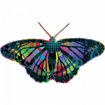 Butterfly (Tie Dye)