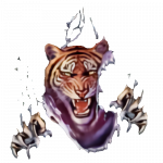 Tiger (rip out)